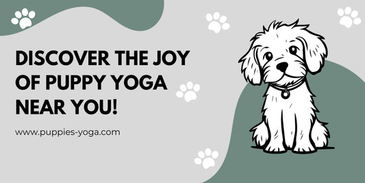 Discover the Joy of Puppy Yoga Near You!