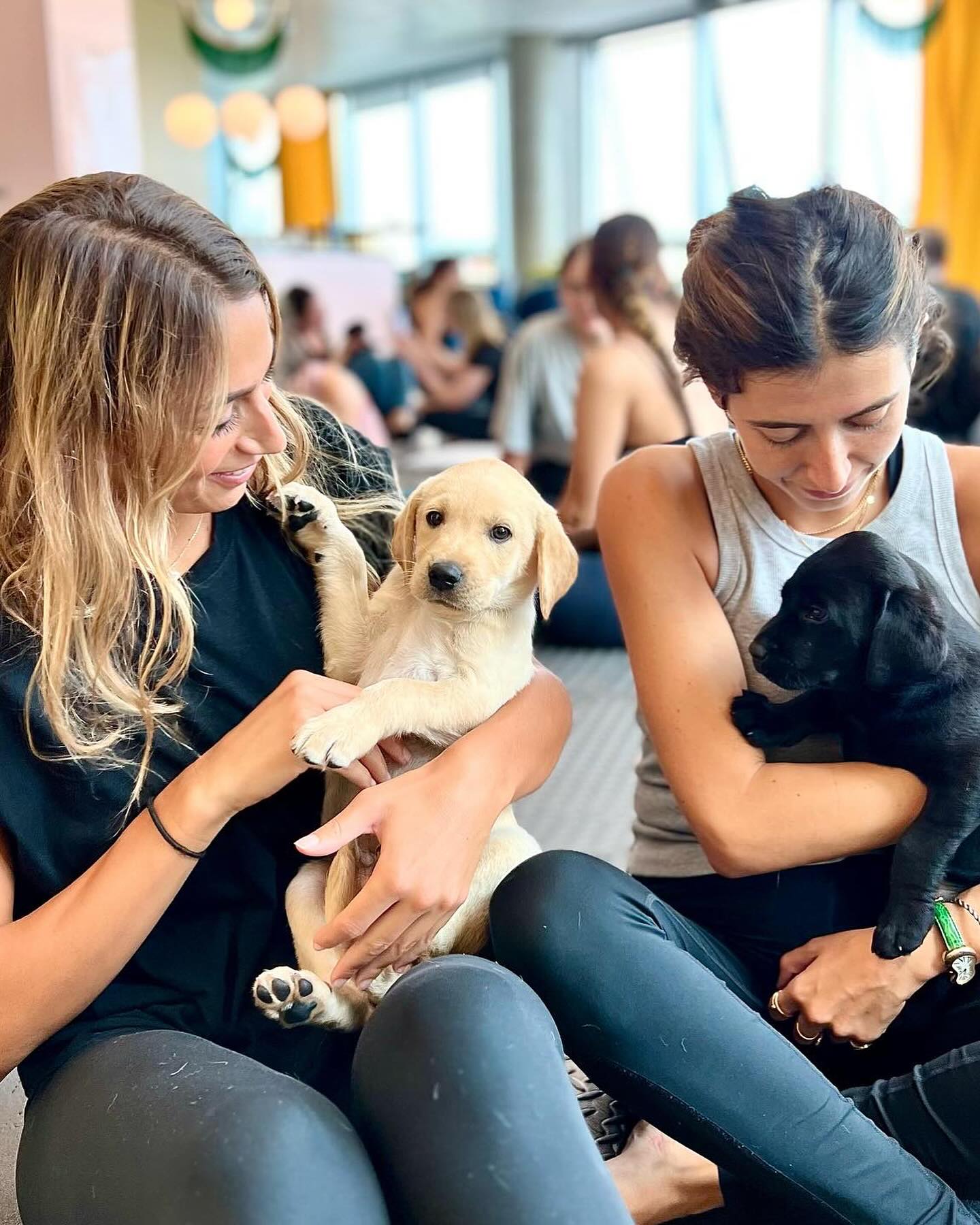 Columbus – Puppies&Yoga