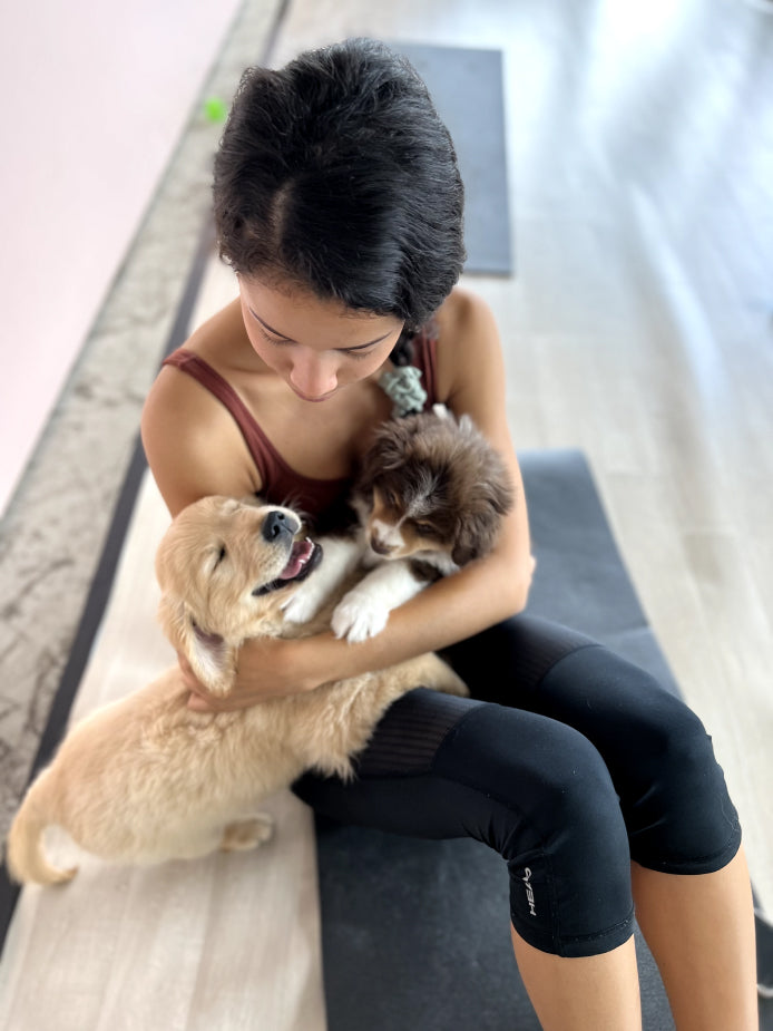 Washington - Dupont Circle Studio 2