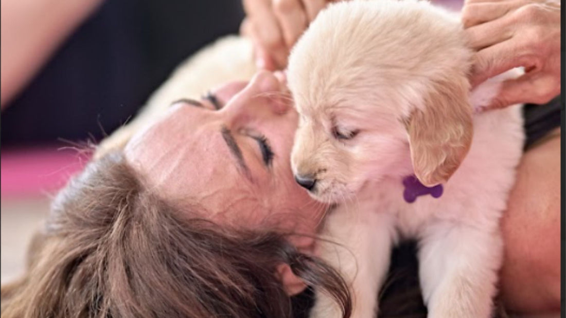 Exploring the Unique Experience of Humming Puppy Yoga