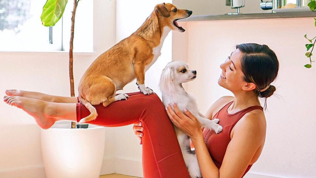Why Puppy Socialization Classes are a Must for Your Pet
